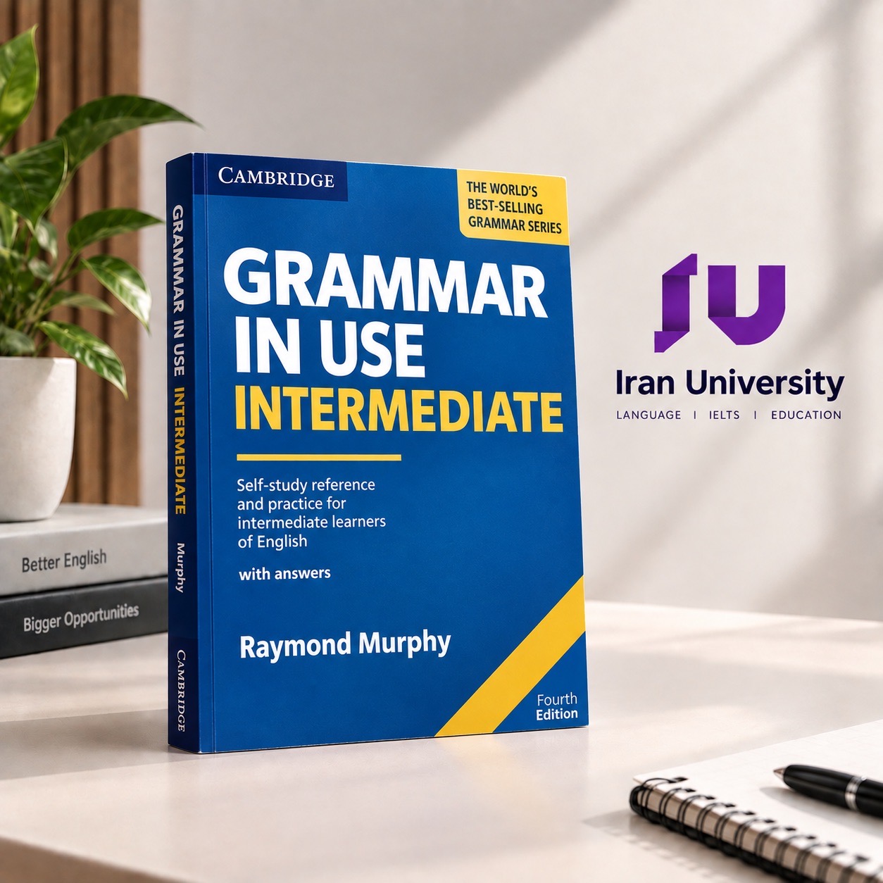 Grammar in Use Intermediate